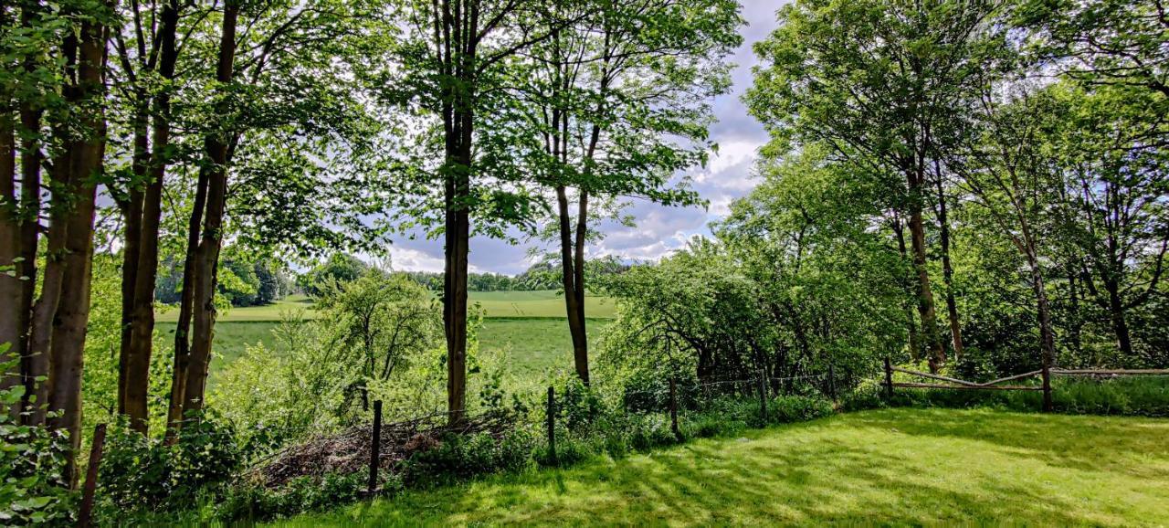 Inikama: Designer Apartment Im Gruenen - Netflix Rosengarten  Eksteriør bilde